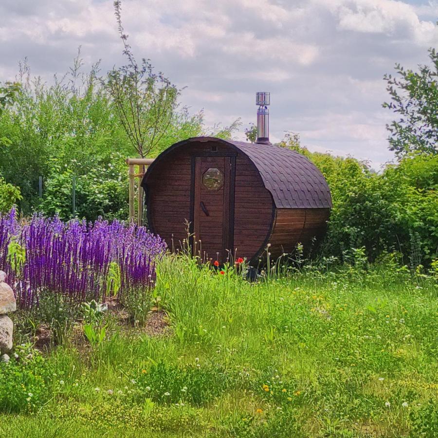 Premium Ferienhaus Soss Diek In Gross Schwansee Kalkhorst Buitenkant foto